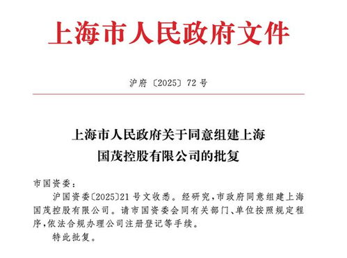 上海市政府批準成立注冊資本130億元新國企，聚焦計算機軟硬件技術研發