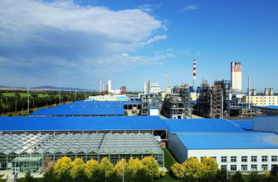 新疆心連心公司綠色制造系統(tǒng)集成項目通過國家工信部驗收