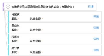 安徽新華馬克漢姆科技信息咨詢合伙企業 聚焦信息技術咨詢的專業服務